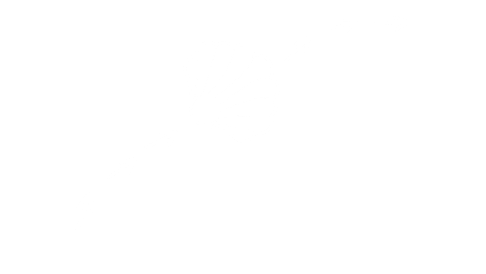 Camino with Ease